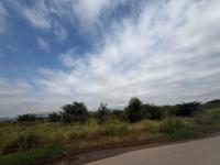  of property in Zinniaville