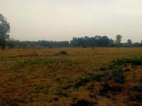  of property in Meyerton