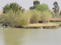  of property in Helderwyk Estate