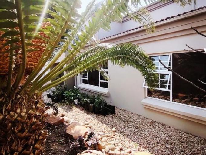 6 Bedroom House for Sale For Sale in Plettenberg Bay - MR693406