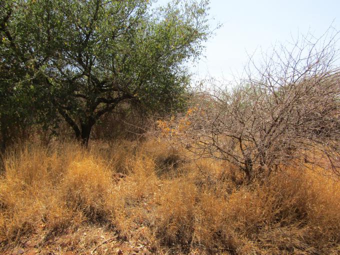 Land for Sale For Sale in Thabazimbi - MR693481