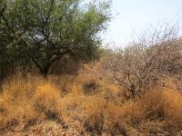 Land for Sale for sale in Thabazimbi