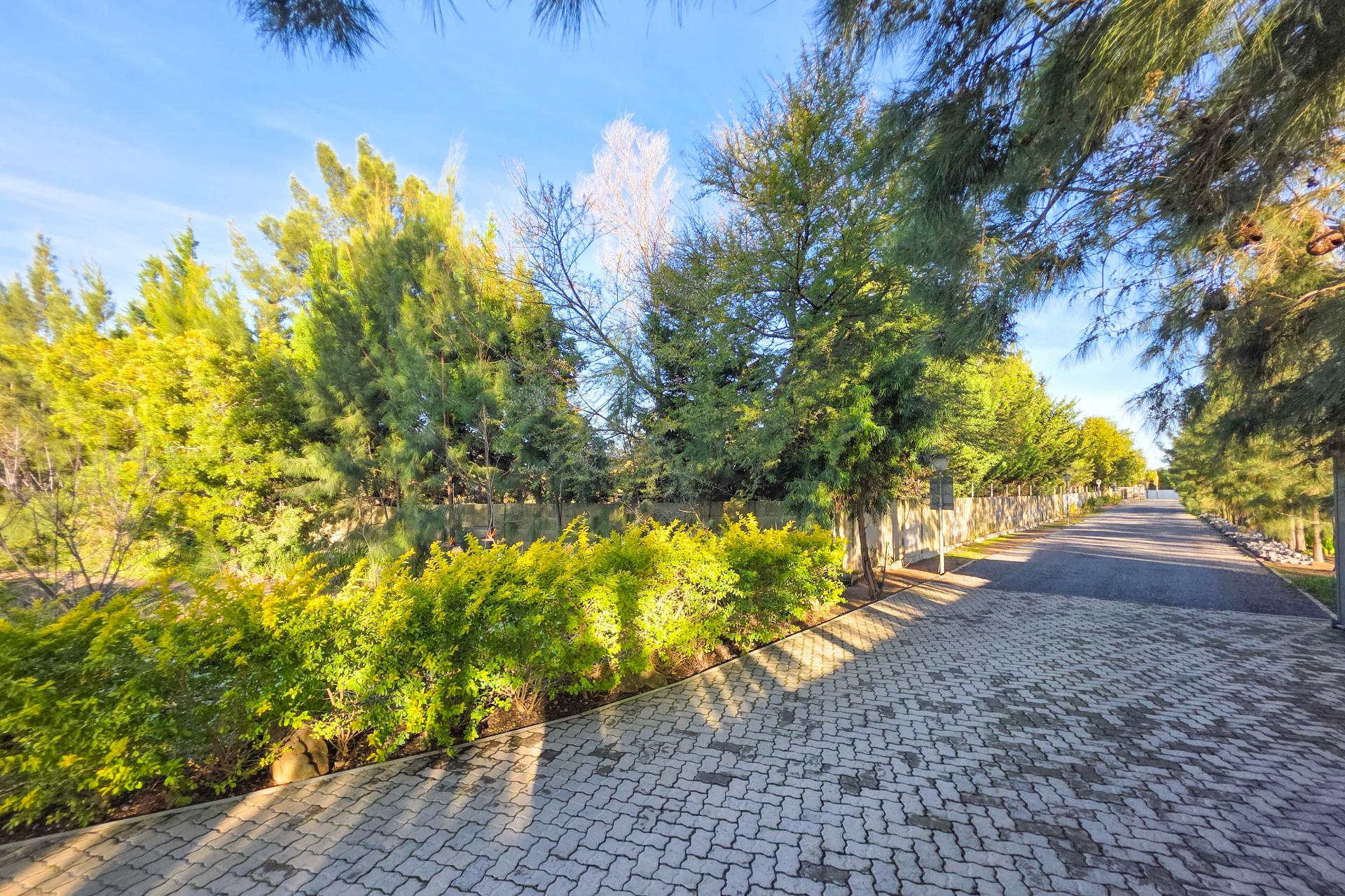  of property in Vierlanden