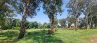  of property in Ermelo