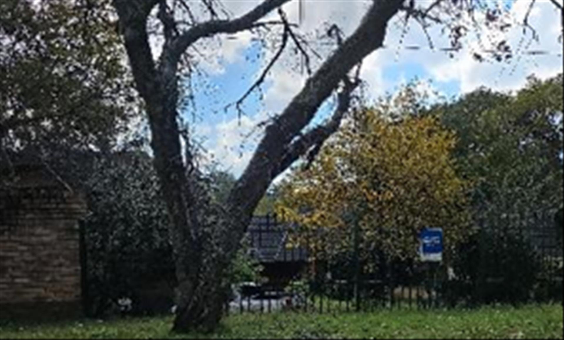 Front View of property in Rivonia