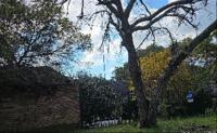 House for Sale for sale in Rivonia
