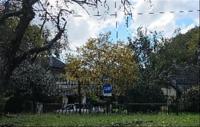 Front View of property in Rivonia