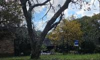Front View of property in Rivonia