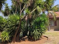  of property in Florida Park
