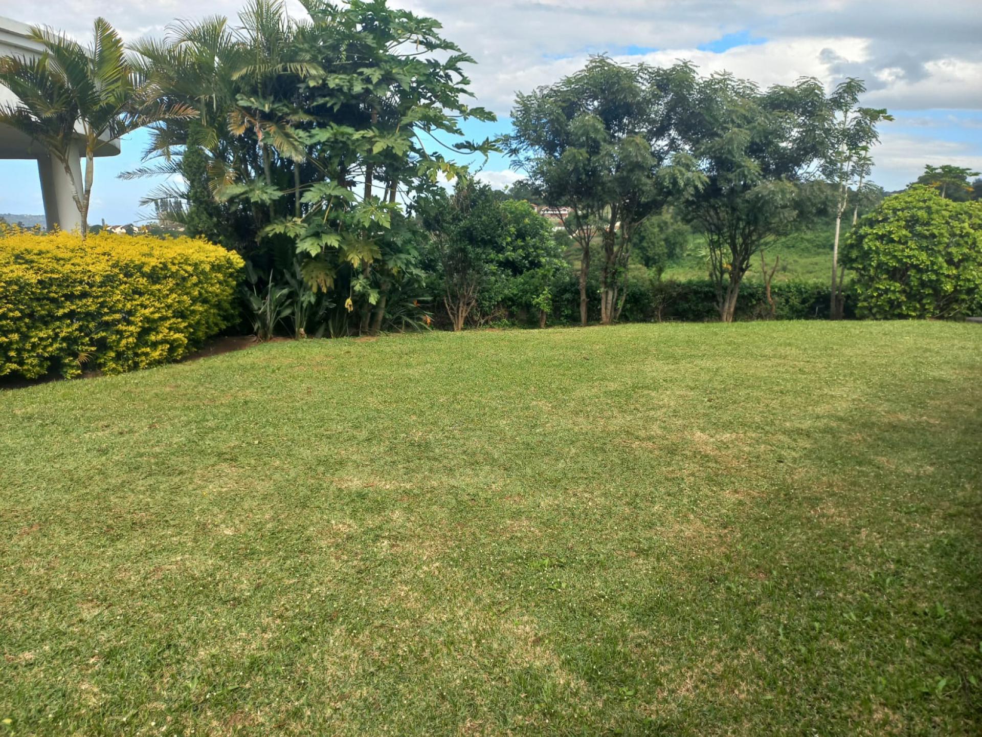  of property in Wyebank