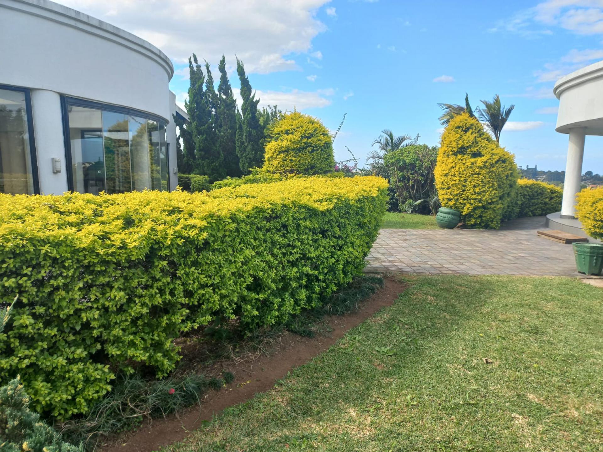  of property in Wyebank
