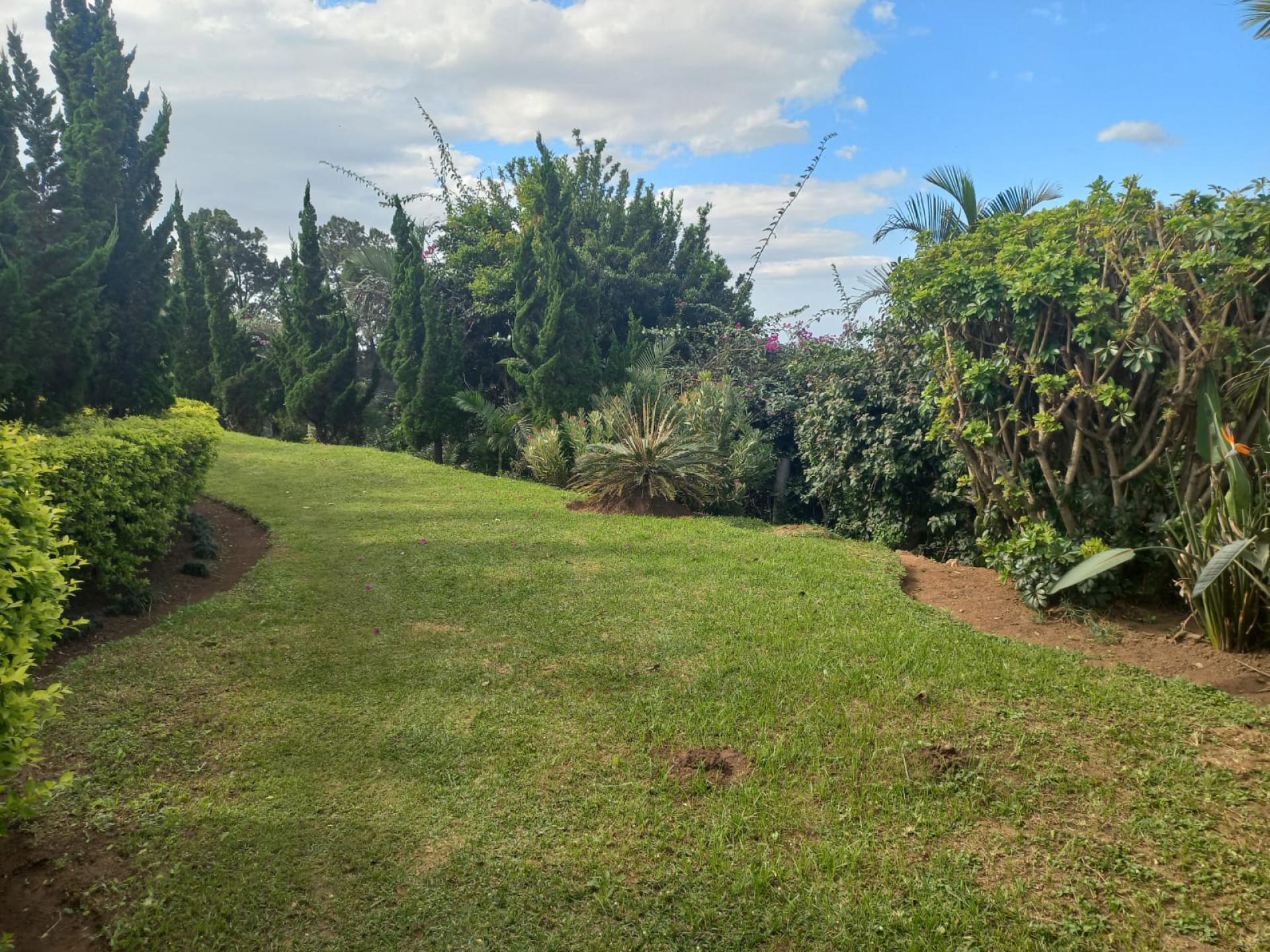  of property in Wyebank
