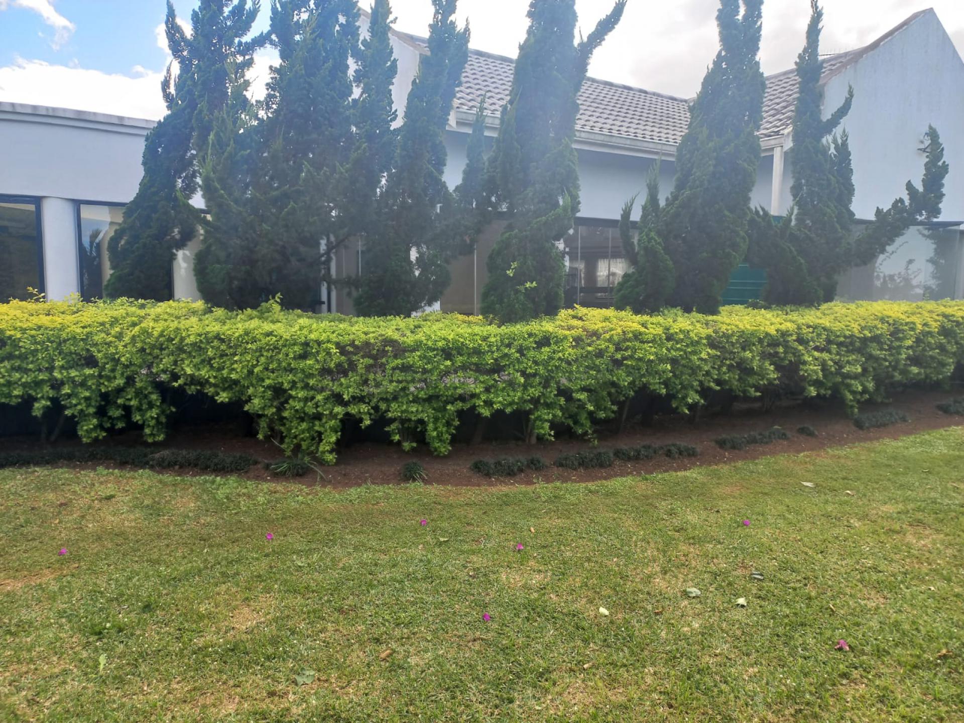 of property in Wyebank
