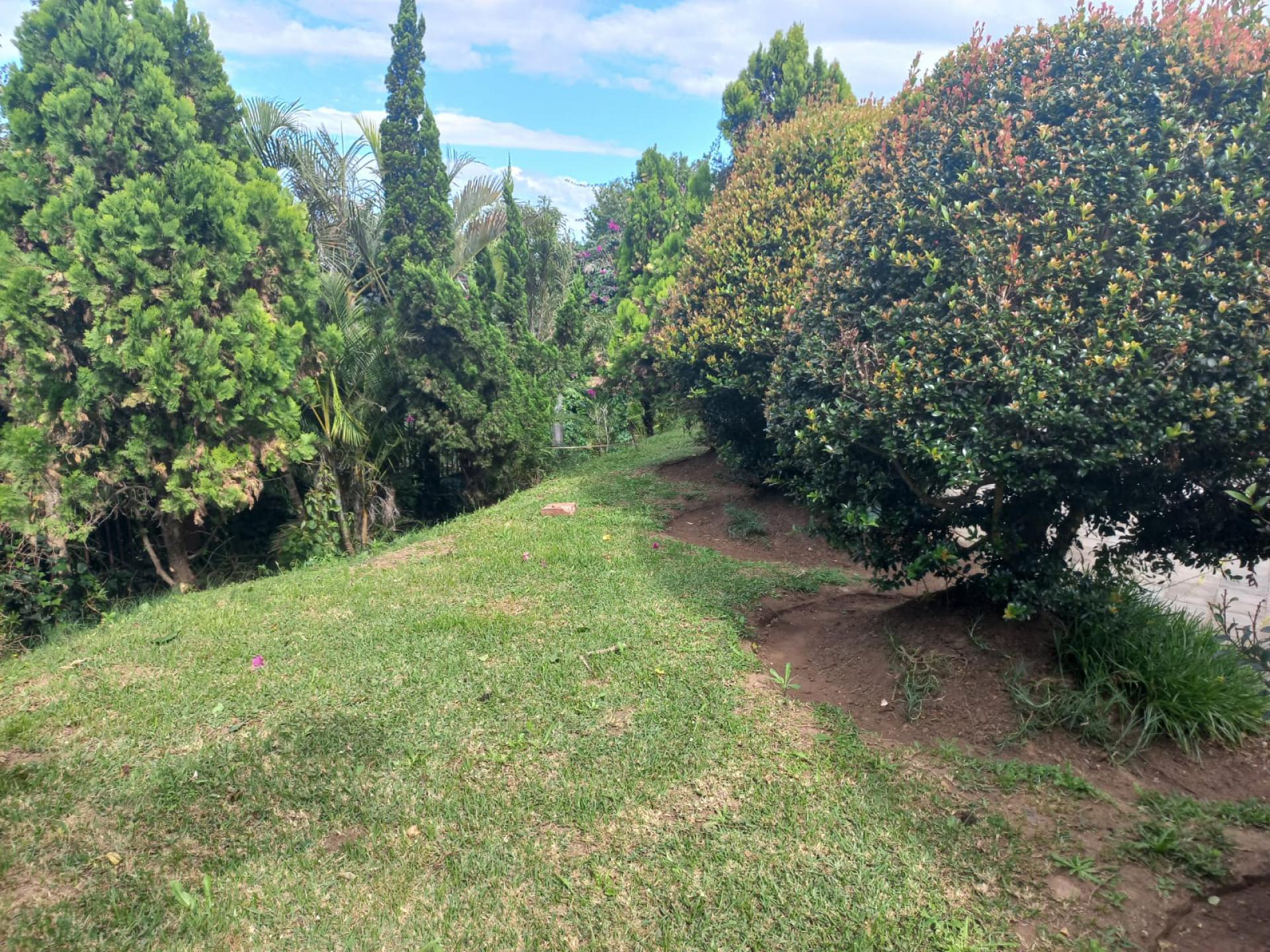  of property in Wyebank
