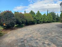  of property in Wyebank