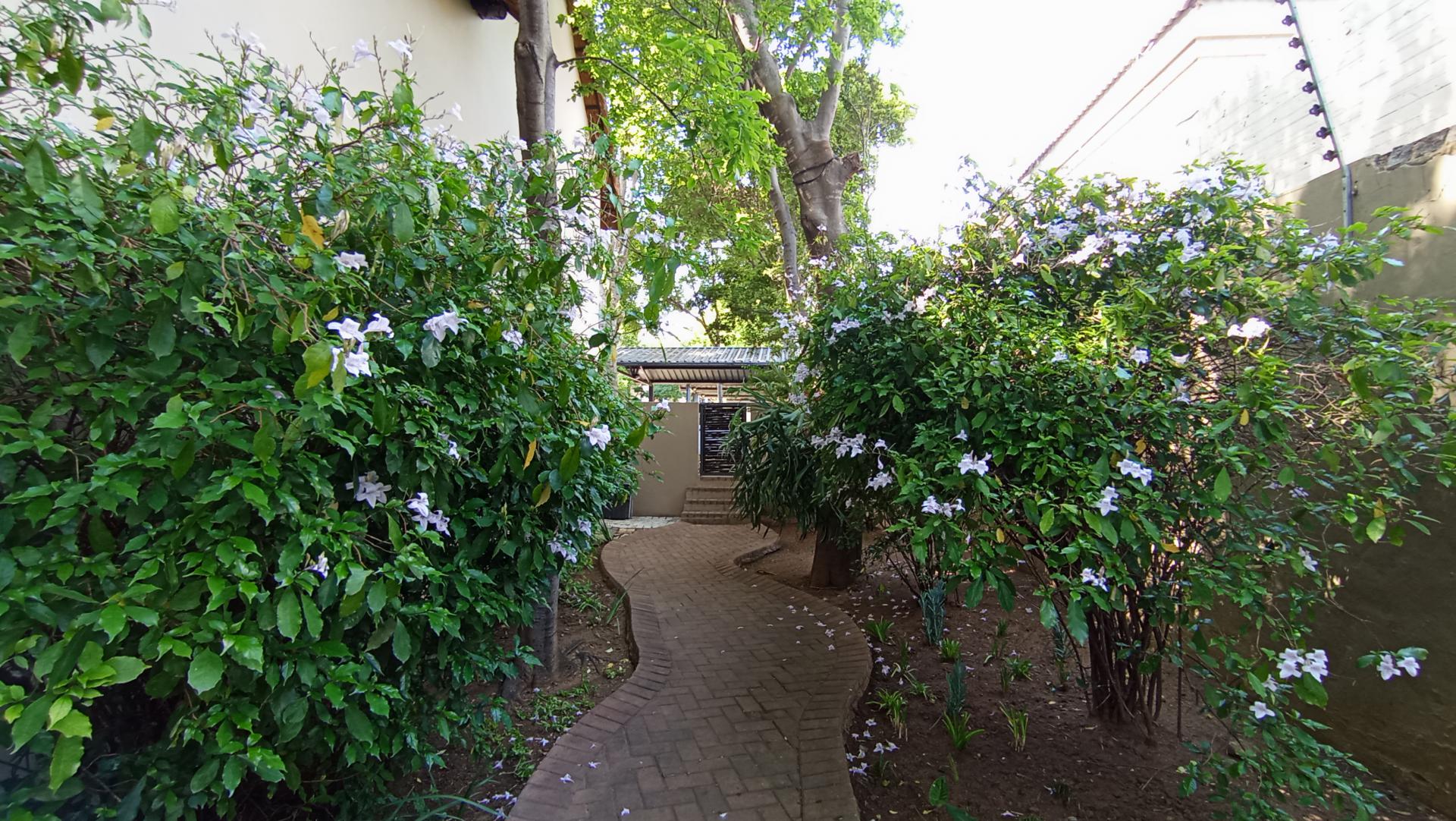 Backyard of property in Witkoppen