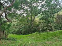  of property in Malvern - DBN