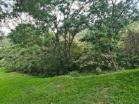  of property in Malvern - DBN
