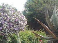  of property in Linmeyer