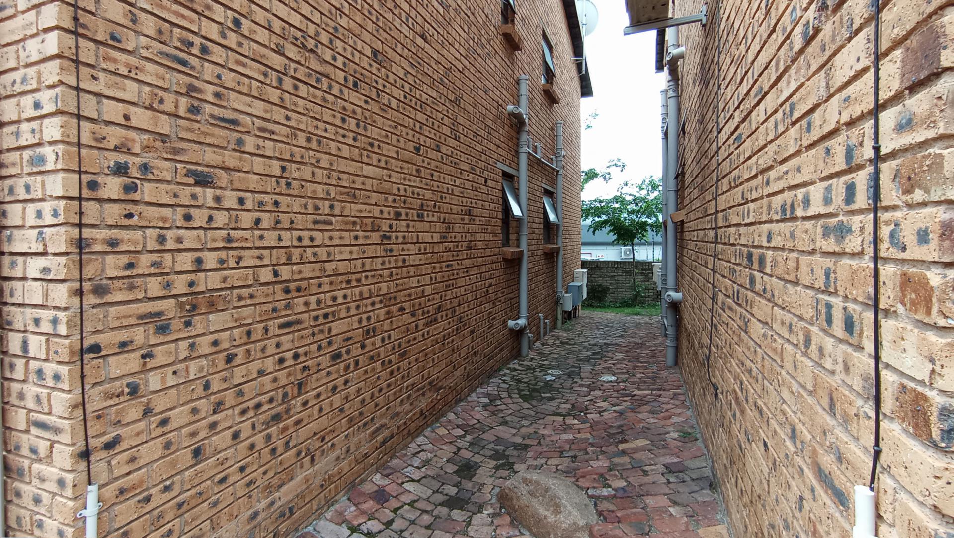 Backyard of property in Buccleuch