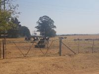  of property in Ermelo