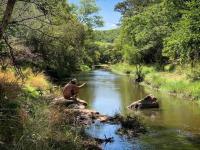  of property in Lephalale (Ellisras)