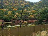  of property in Lephalale (Ellisras)