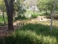  of property in Randjespark
