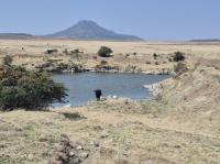  of property in Ladybrand