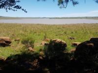  of property in Ladybrand