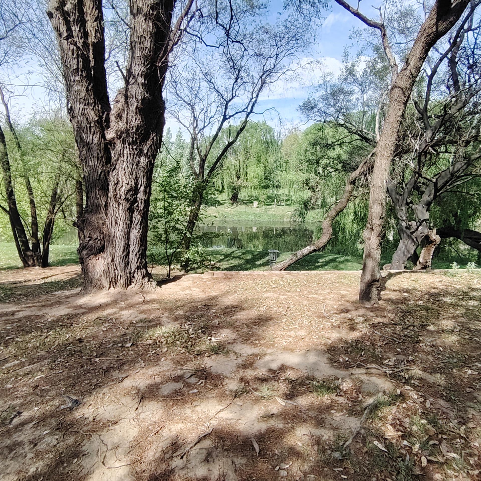 Backyard of property in Roodewal