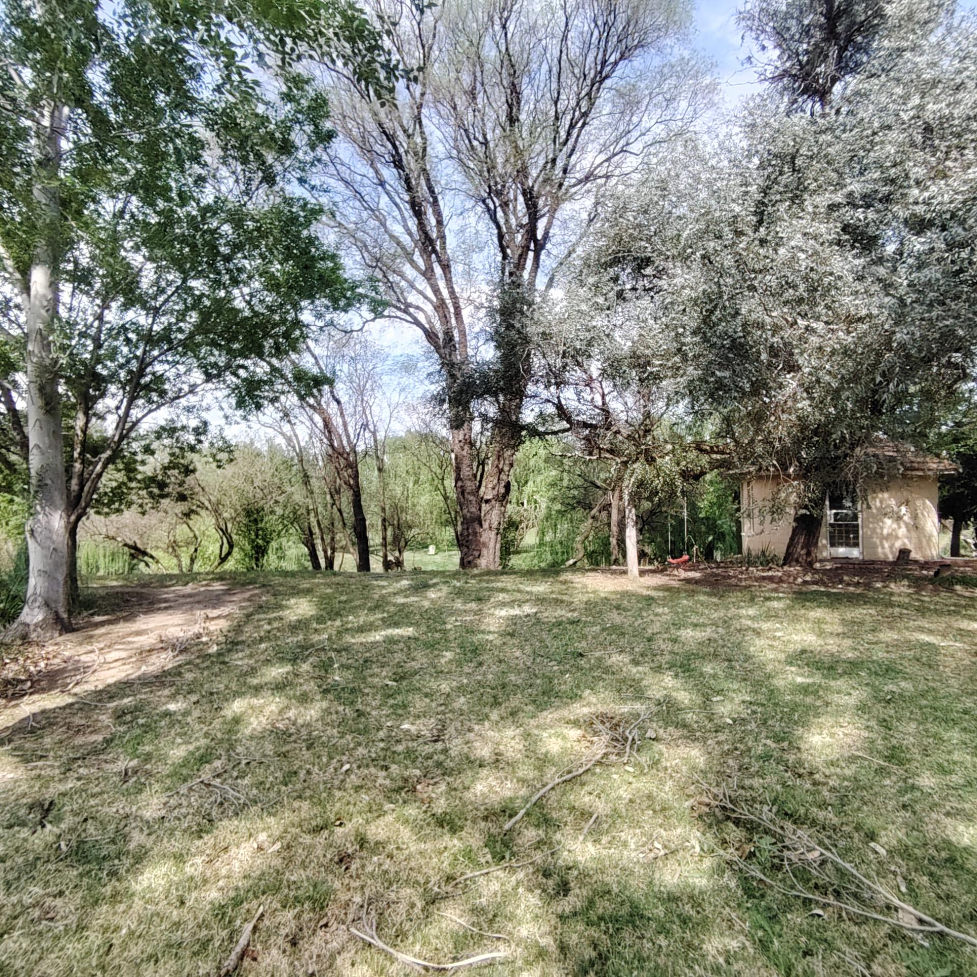 Backyard of property in Roodewal