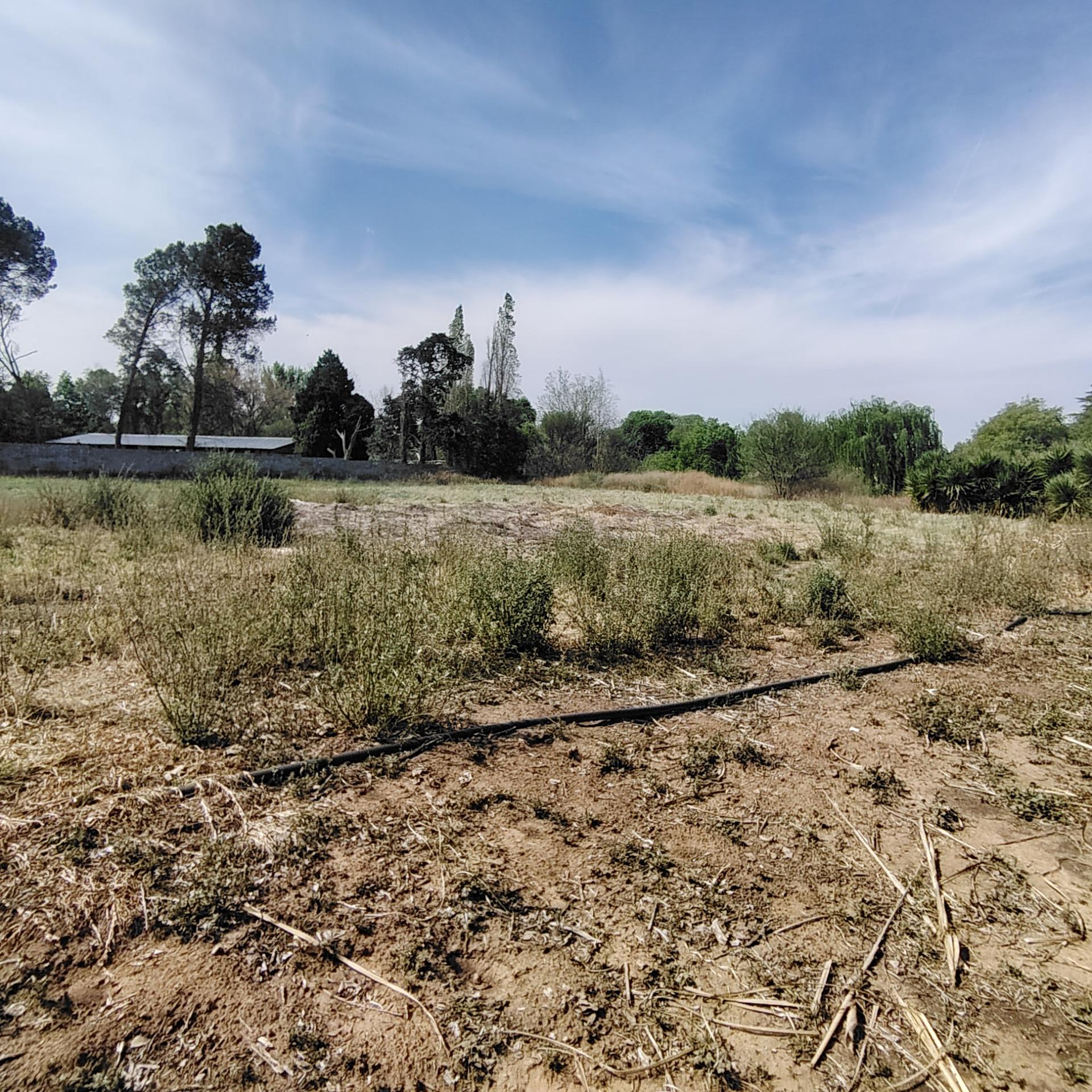 Backyard of property in Roodewal