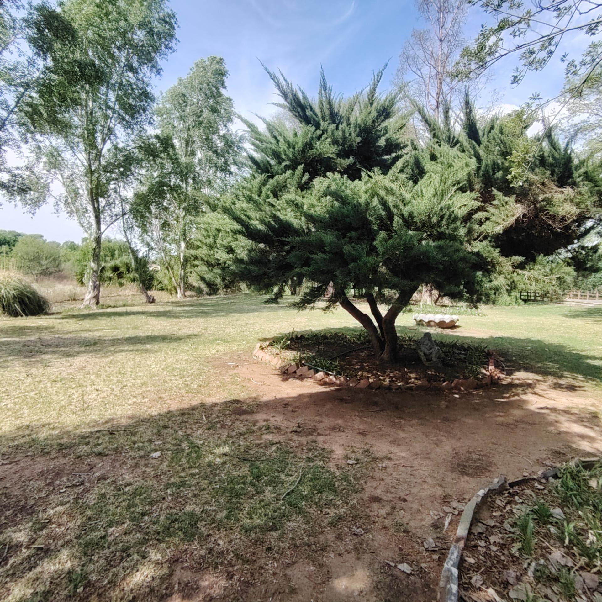 Backyard of property in Roodewal