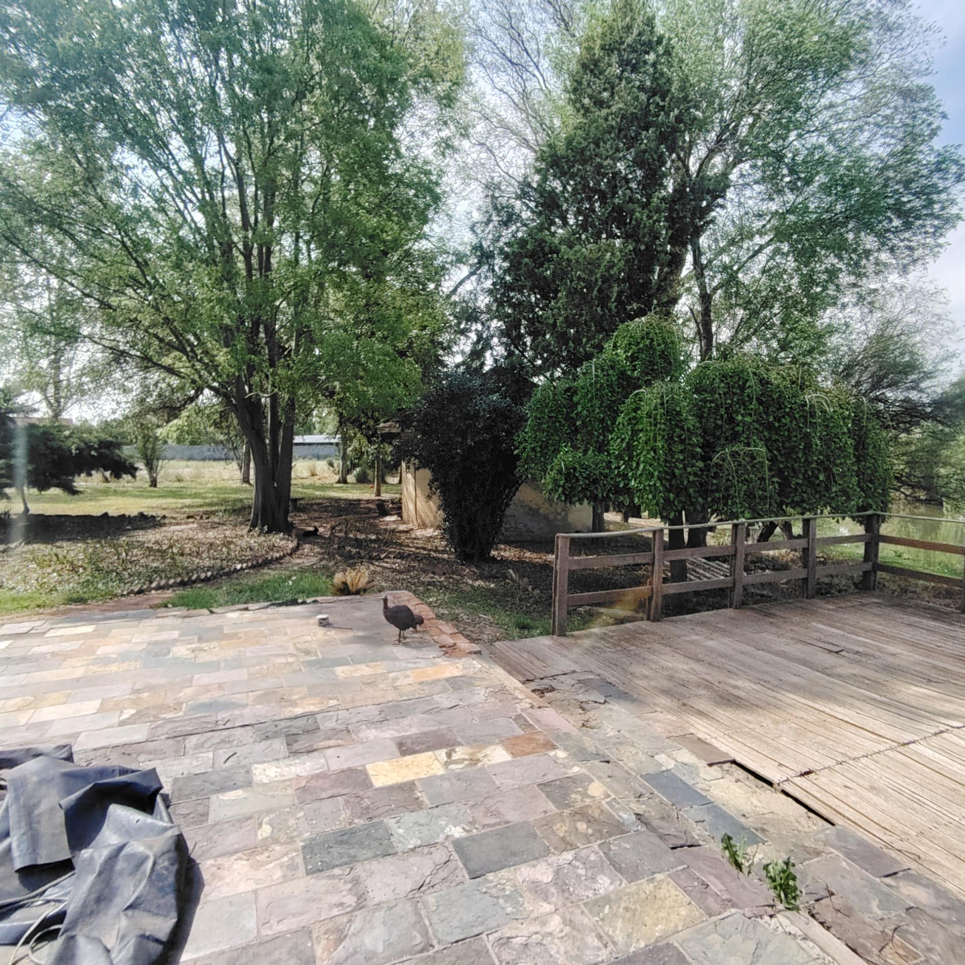 Backyard of property in Roodewal