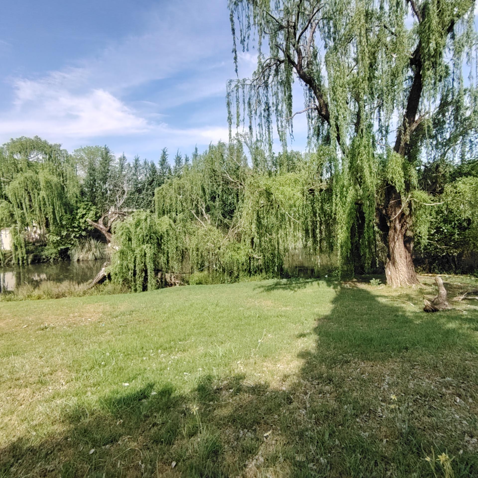 Backyard of property in Roodewal