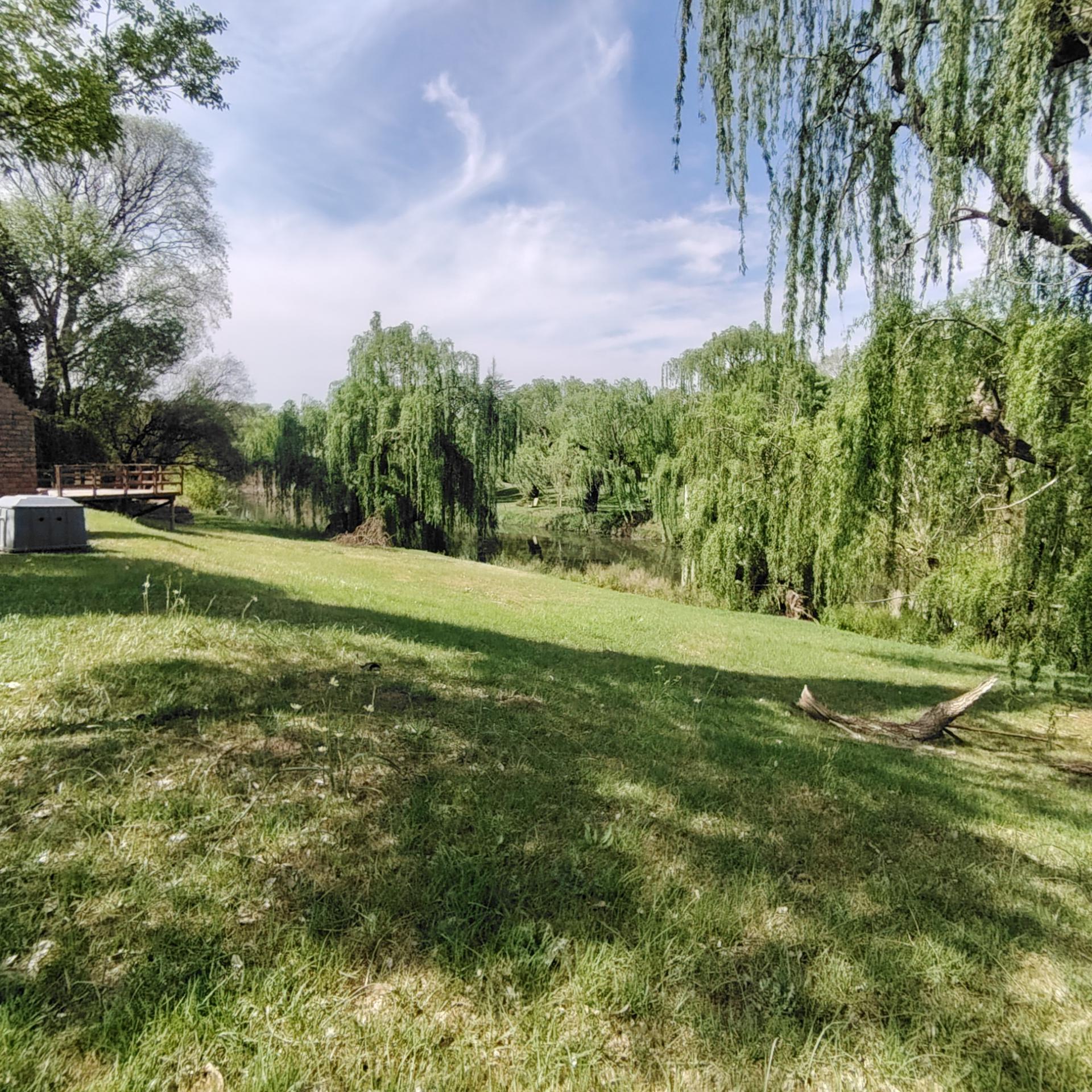 Backyard of property in Roodewal