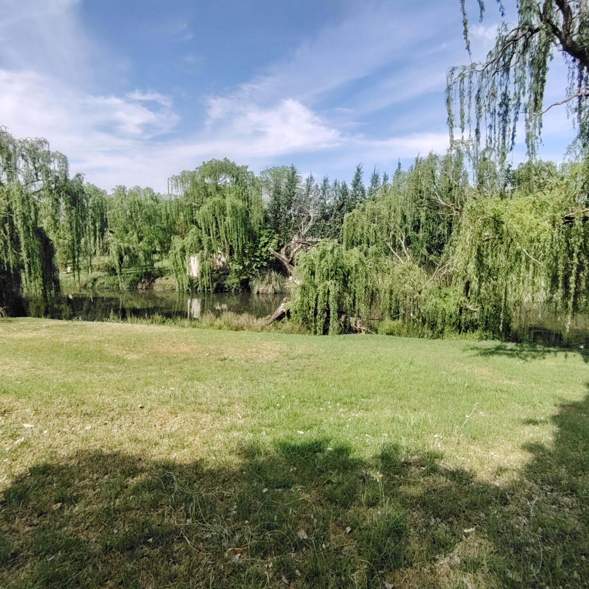 Backyard of property in Roodewal