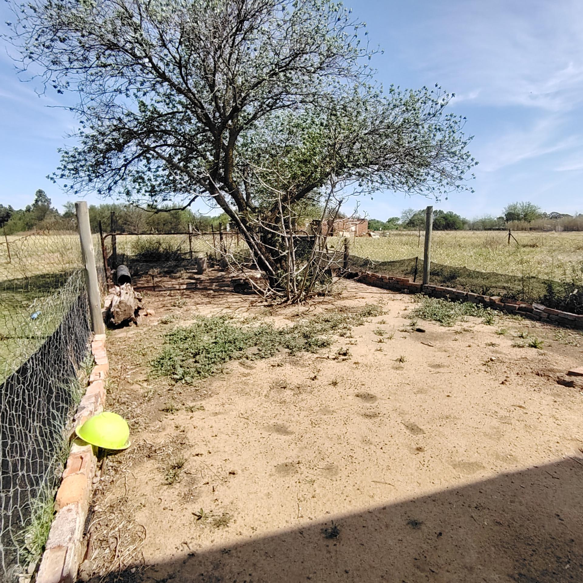 Backyard of property in Roodewal