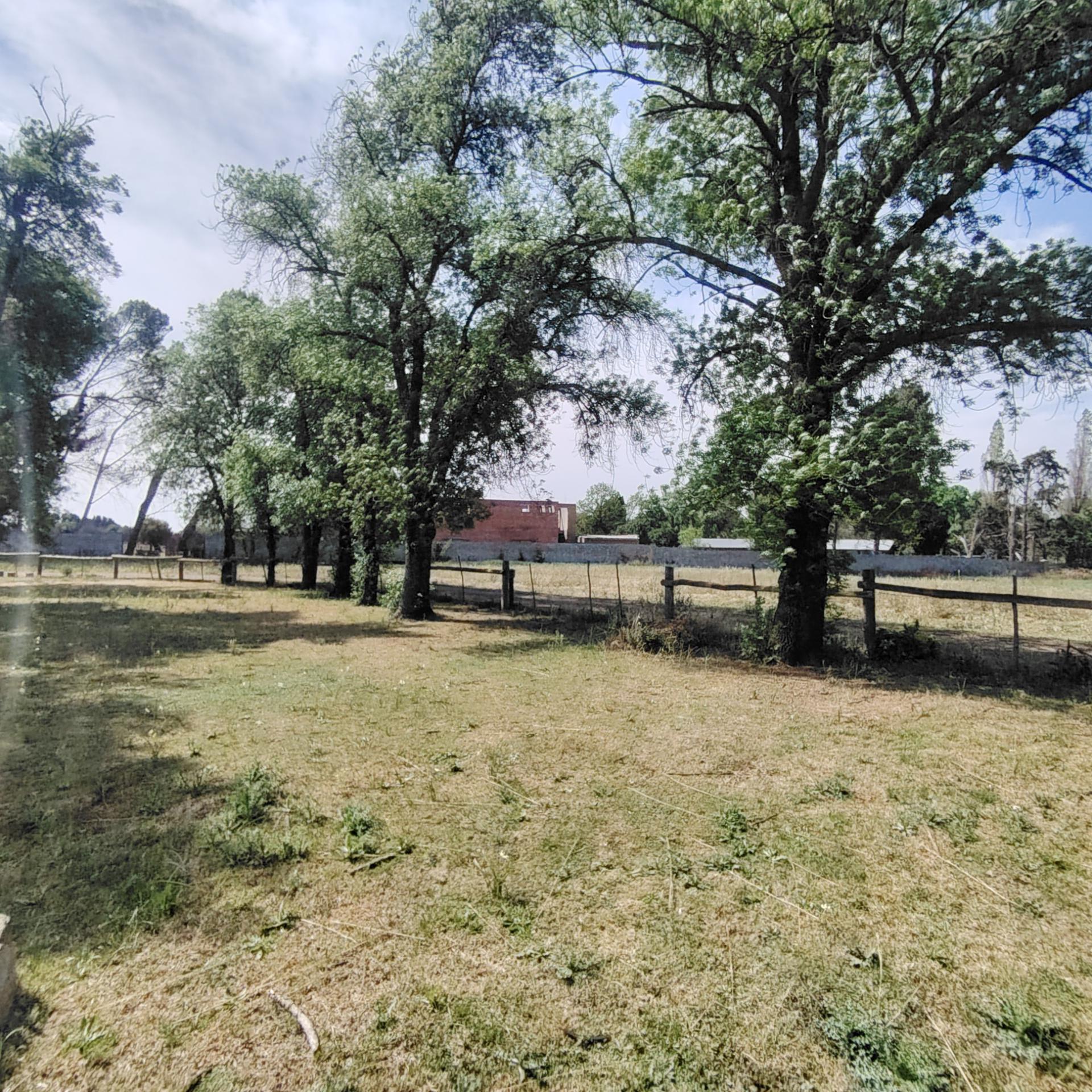 Backyard of property in Roodewal