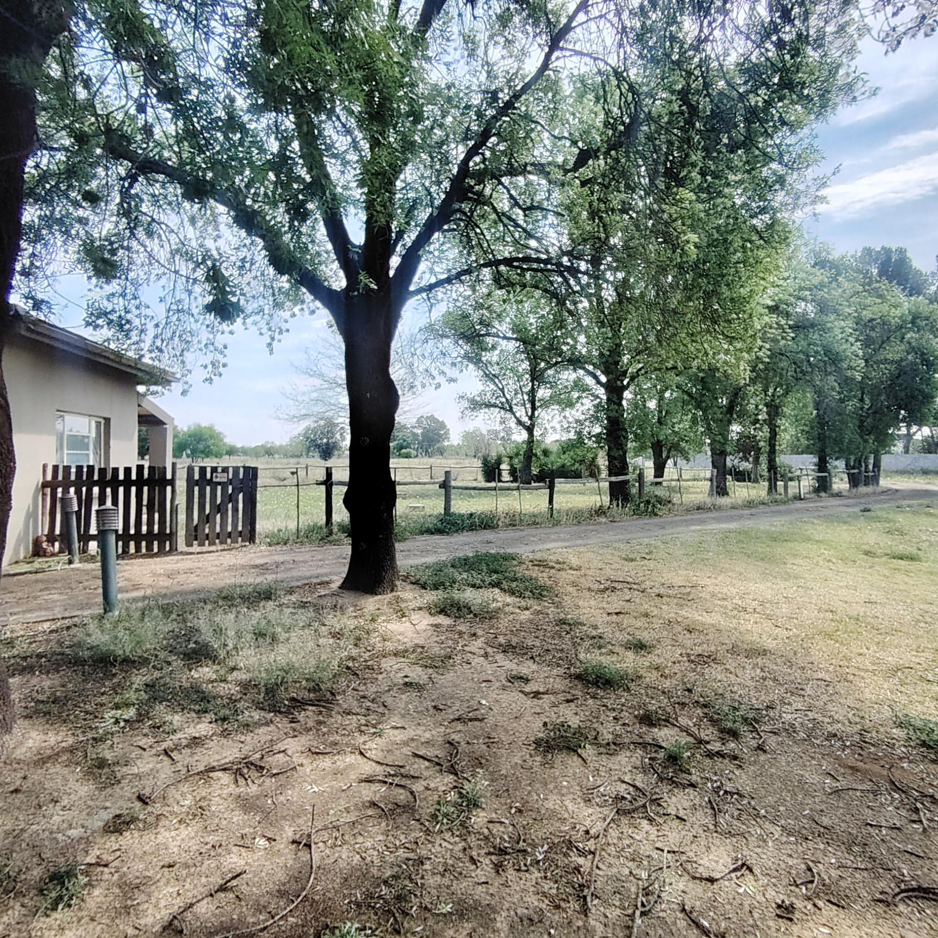 Backyard of property in Roodewal