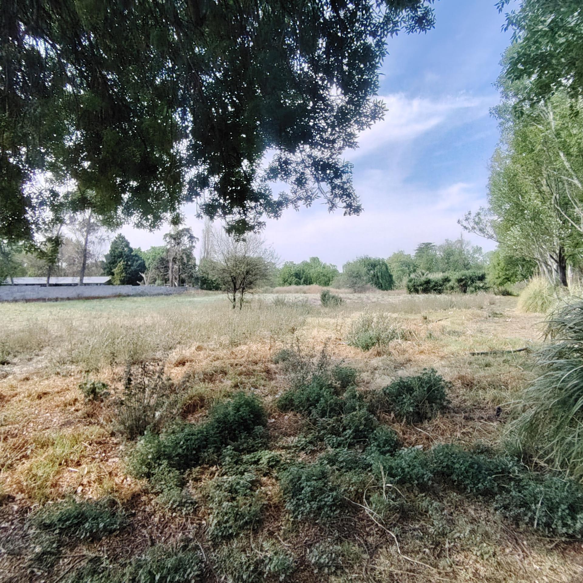 Backyard of property in Roodewal