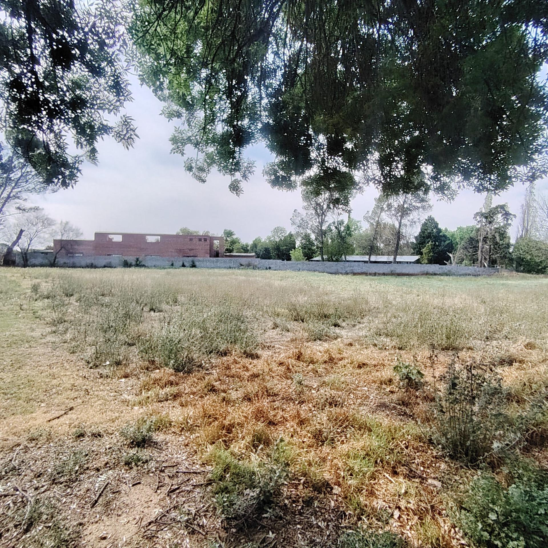 Backyard of property in Roodewal