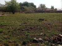  of property in Jameson Park