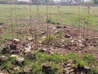  of property in Jameson Park
