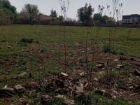  of property in Jameson Park