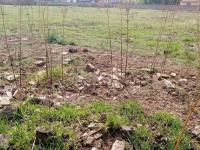  of property in Jameson Park