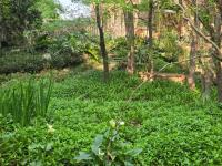  of property in Heidelberg - GP
