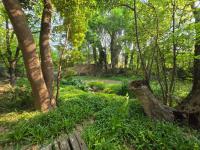  of property in Heidelberg - GP