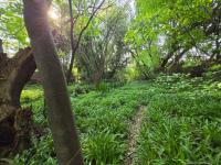  of property in Heidelberg - GP